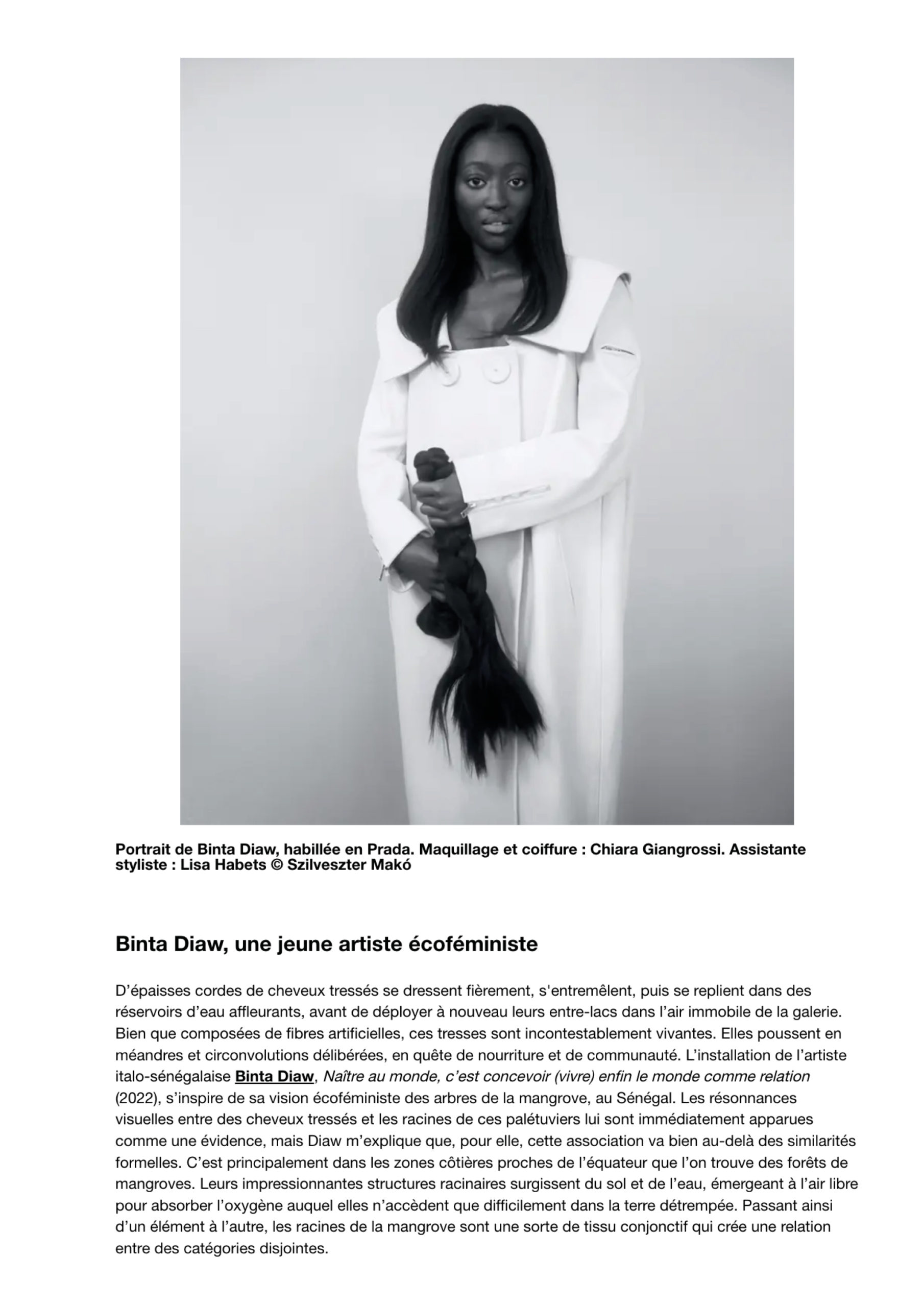 Rencontre avec l'art écoféministe de Binta Diaw : quand le cheveu tressé se fait paysage